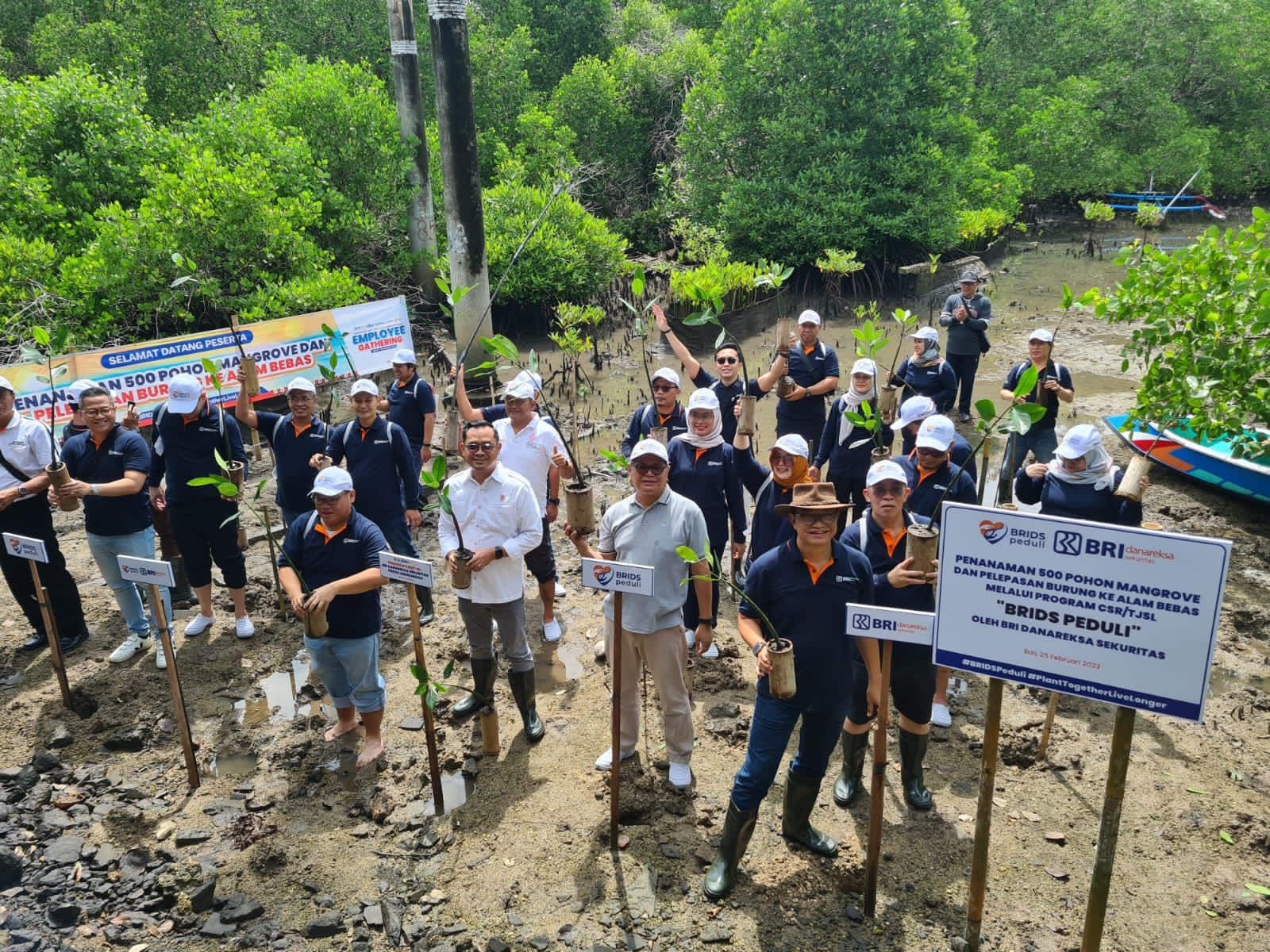 Dukung Implementasi ESG, BRI Danareksa Sekuritas Tanam 500 Pohon Mangrove