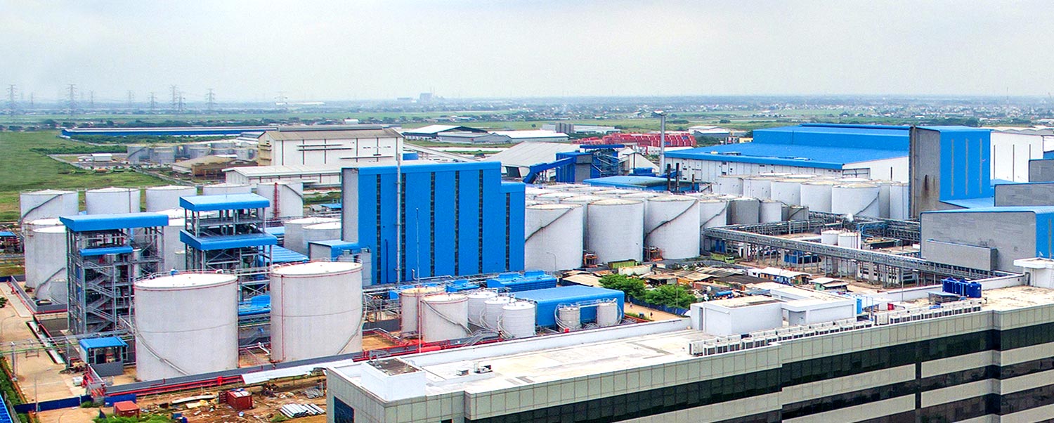 Didukung Sektor Ini, PBSA Bidik Pendapatan Naik Jadi Rp1,380 Triliun pada 2025
