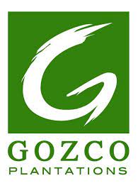 Dua Anak Usaha Gozco Plantations Lakukan Transaksi Afiliasi, Sigini Nilainya!