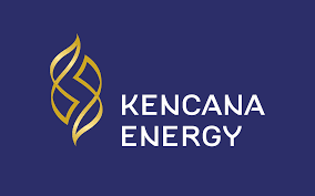 KEEN Kantongi Kontrak PLTS dari PLN Senilai USD 25 Juta, Siap Tambah Pendapatan Tahunan