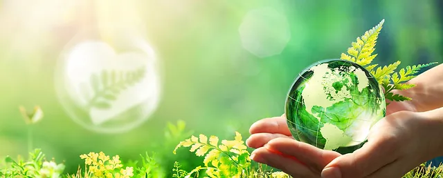 Melantai di BEI, Ecocare Indo Pasifik Banderol Harga IPO Rp145 per Saham