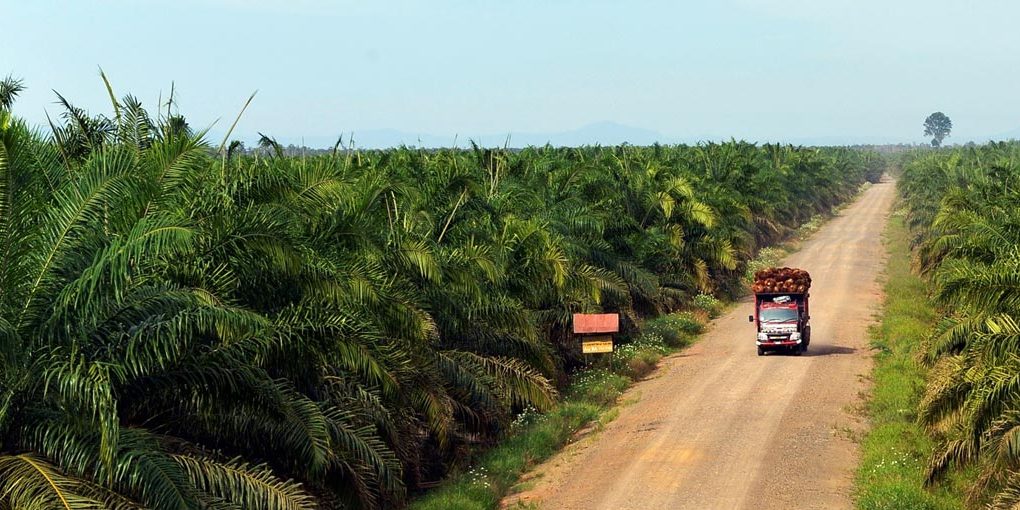 Astra Agro Lestari Anggarkan Belanja Modal Rp1,4 Triliun