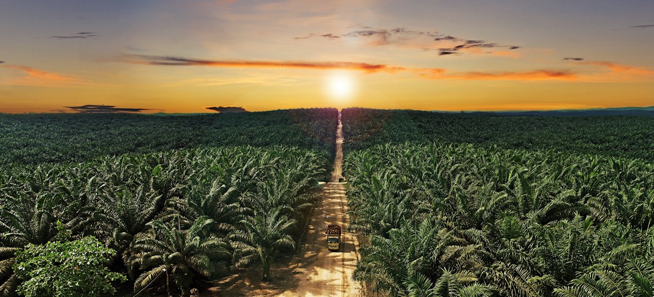 Teladan Prima Agro (TLDN) Tebar Dividen Rp701,05 Miliar, Catat Jadwalnya!