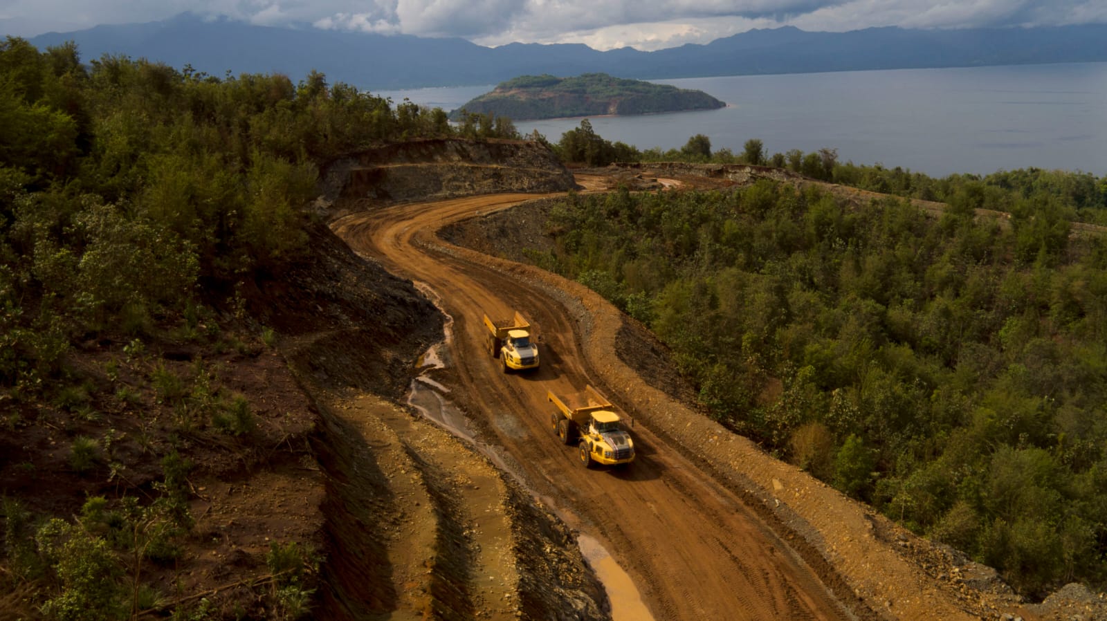 Indonesia Siap Kuasai Pasar Global Lewat Sumber Daya Alam Melimpah