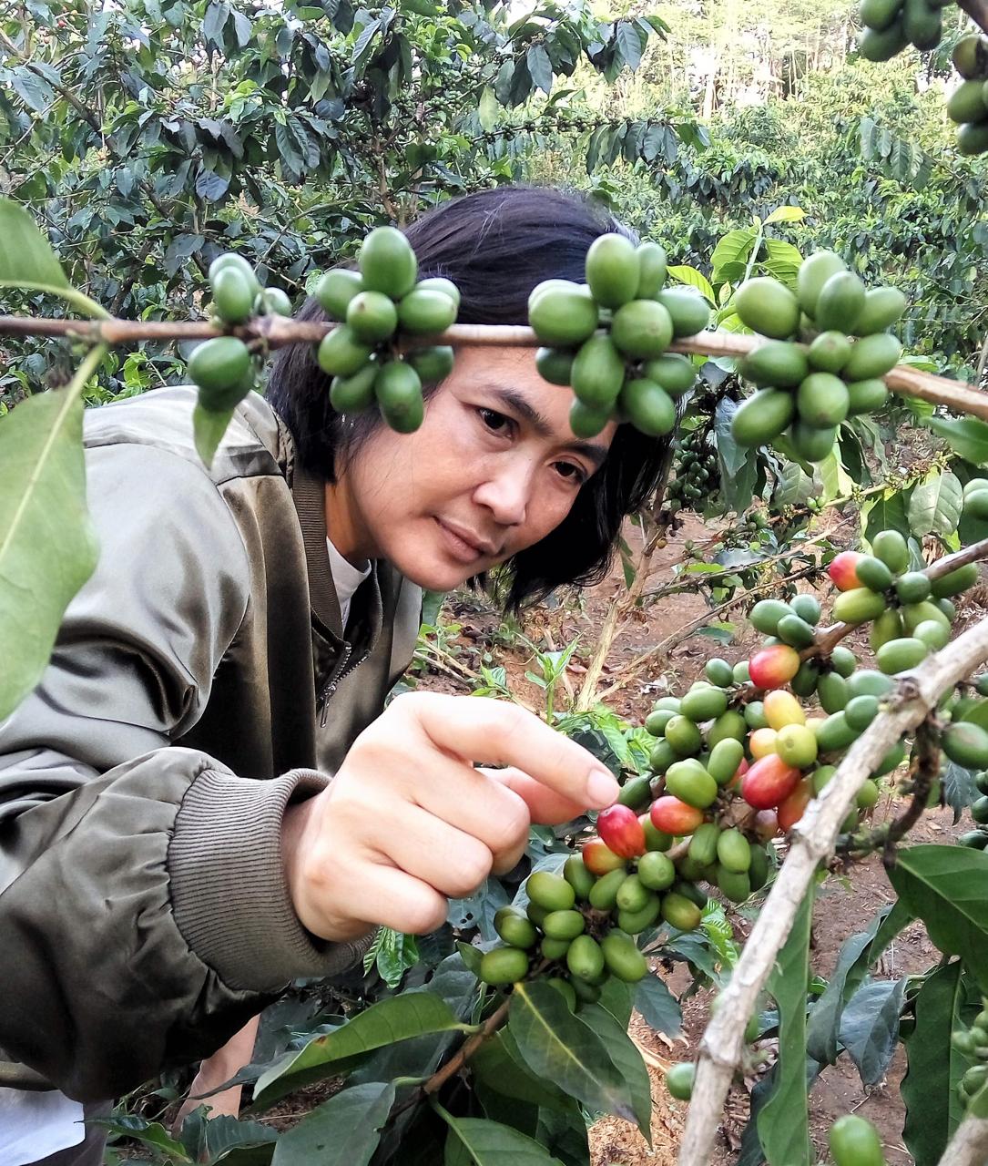 BNI Dukung Kopi Garut Go Global Lewat Jejak Kopi Khatulistiwa