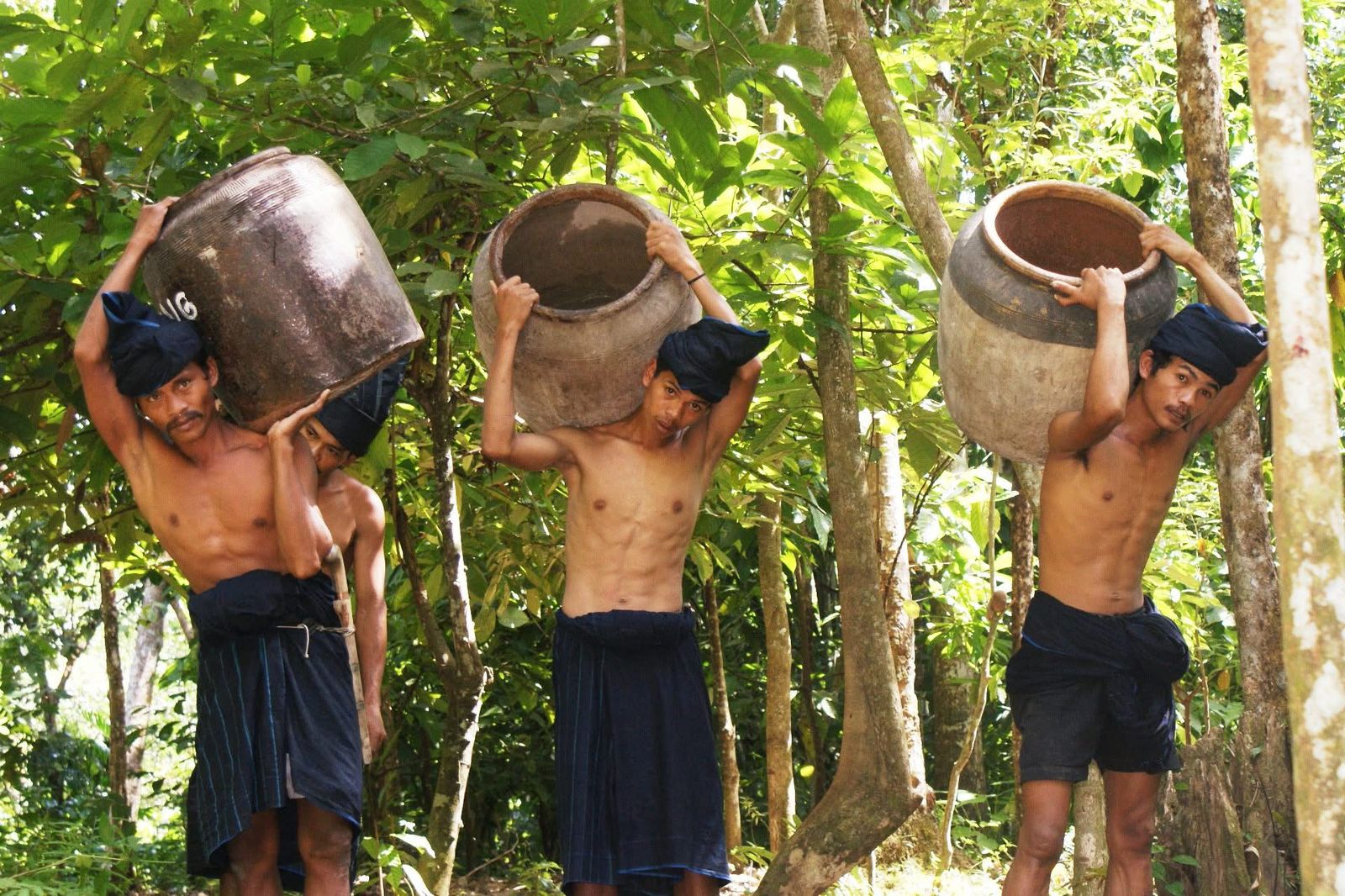 Hukum Berpihak pada Adat: Kemenangan Ammatoa Kajang Menjaga Warisan Hutan Leluhur Bulukumba