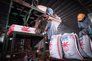 Penjualan Tumbuh 23,15%, Laba DGWG Tembus Rp218,85 Miliar di 2025
