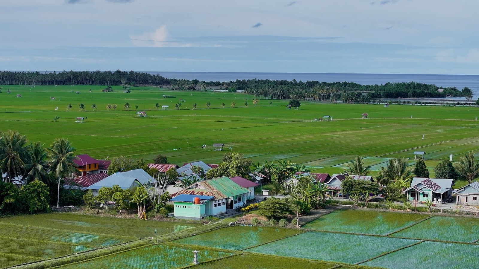 Desa Pesisir Ini Masuk 10 Besar Nasional, Ekonominya Tumbuh Berkat Sentuhan BRI